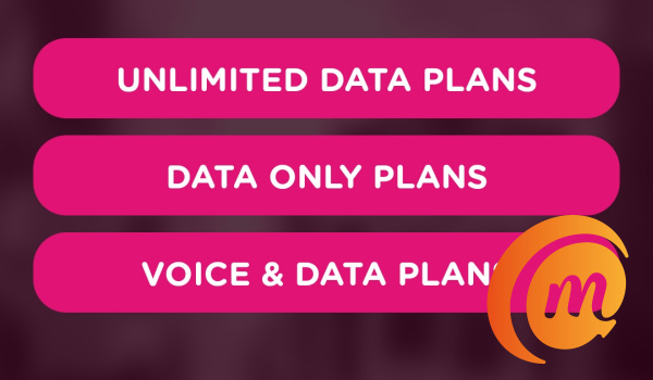 ntel data plans