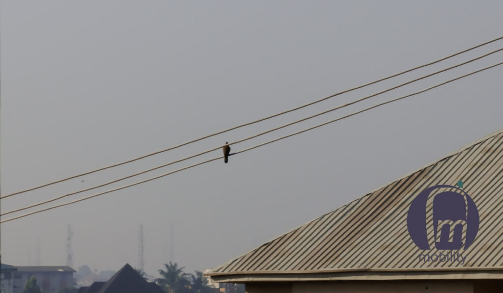 5x optical zoom photo of a bird on a wire in the distance. Shot with TECNO Camon 18 Premier's periscope telephoto lens. 